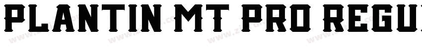 Plantin MT Pro Regul字体转换